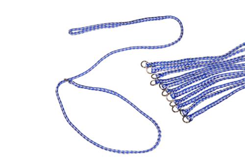 ACES Animal Control Lead