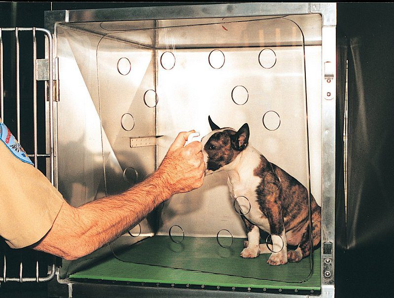 ACES Cat/Small Animal Shields