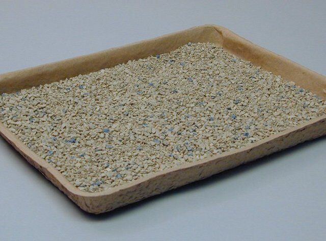 Pulp Litter Pans 250/case