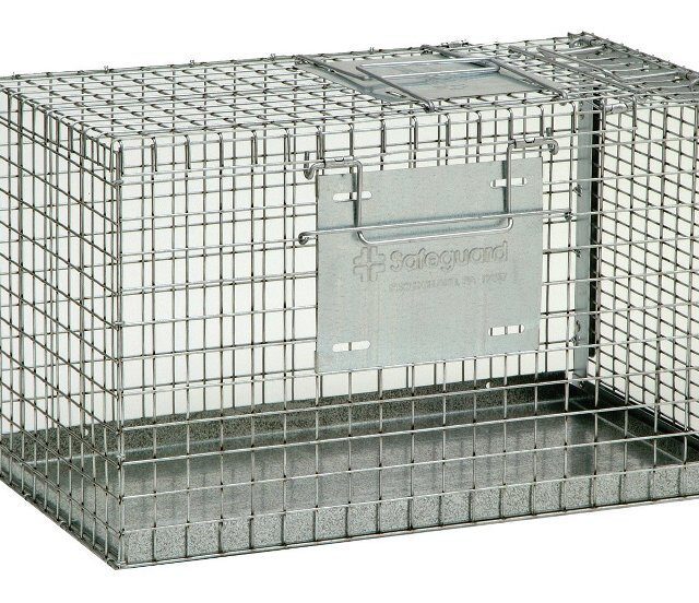 SafeGuard Top And End Opening Carrier/Transfer Cage