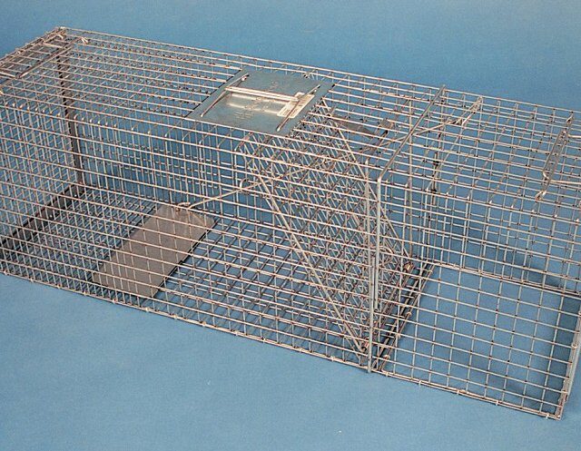 safegaurd universal trap- types of animal traps aces au