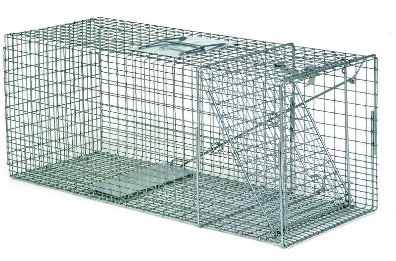 SafeGuard Professional Traps